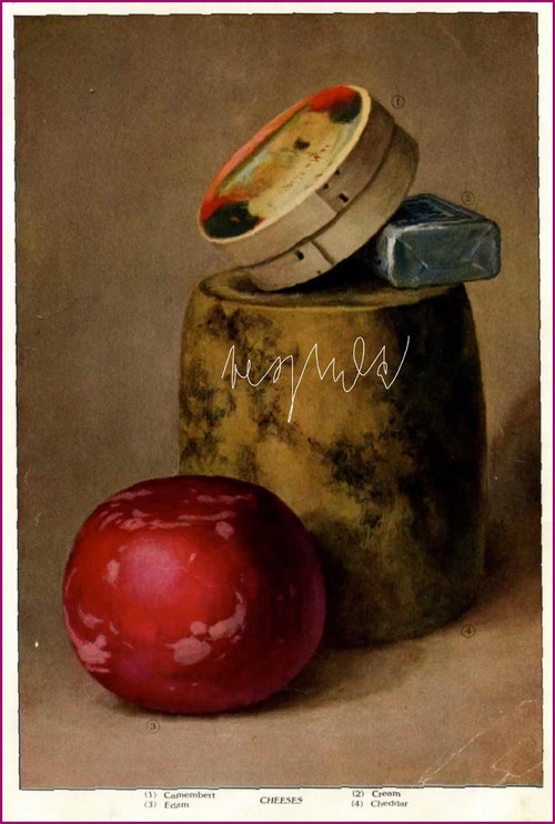 Sýry III — foto 1