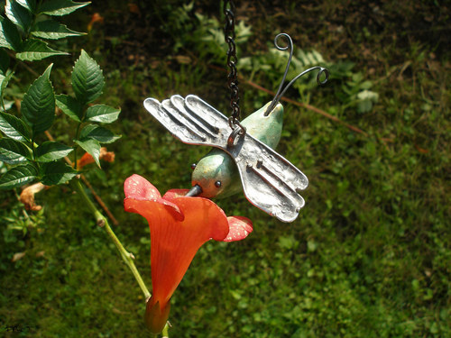 Kol, koli — foto 1