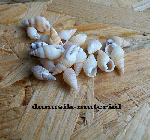 VRTANÉ MUŠLE MALÉ SVĚTLÉ - 8 ks — foto 1