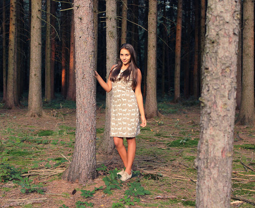 Biošaty Brown Deer — foto 1
