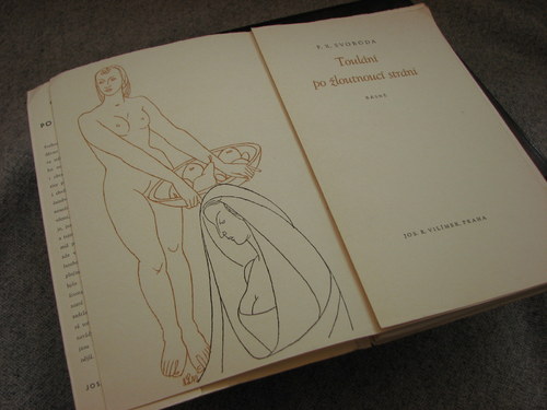Toulání po žloutnoucí stráni, 1943