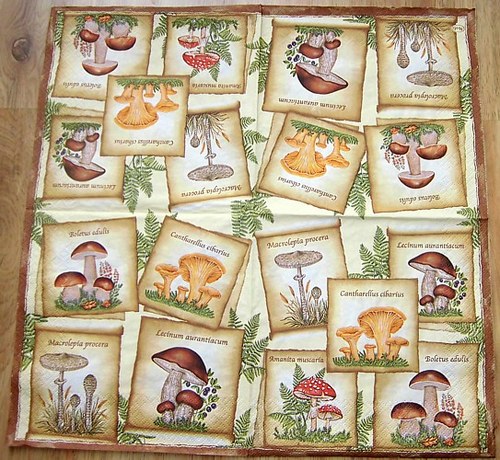 PO 067 - ubrousek 33x33 - houby mix