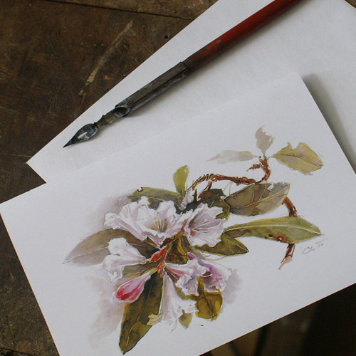 Přáníčko - Rhododendron 2