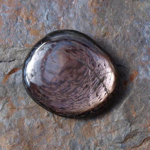 Hypersten,placka — foto 1