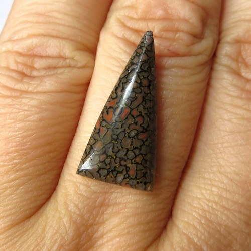 R Dinosauří kost, kabošon č.4 — foto 1