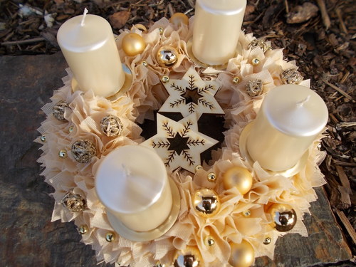 Adventní meruňka — foto 1