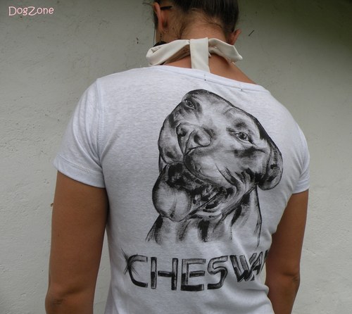 Chlupatí z Chesway .... triko — foto 1