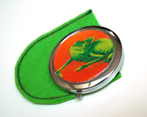 Chameleon ... zrcátko — foto 1