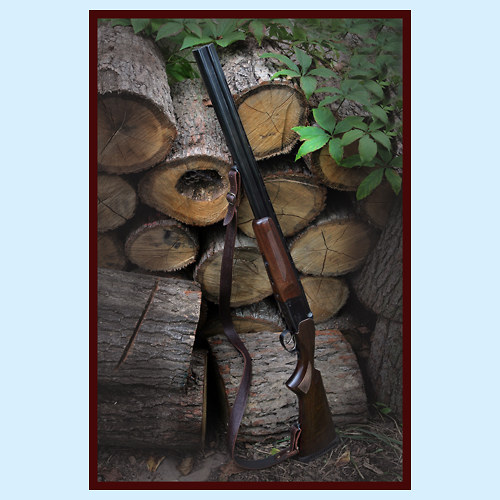 Myslivecké nálady I. 0221S - 9461