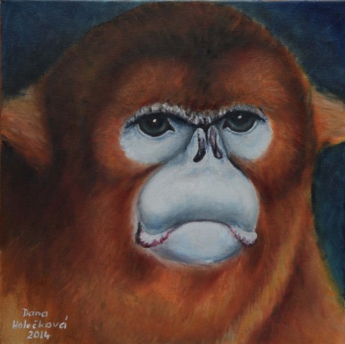 Langur čínský - autorský arch