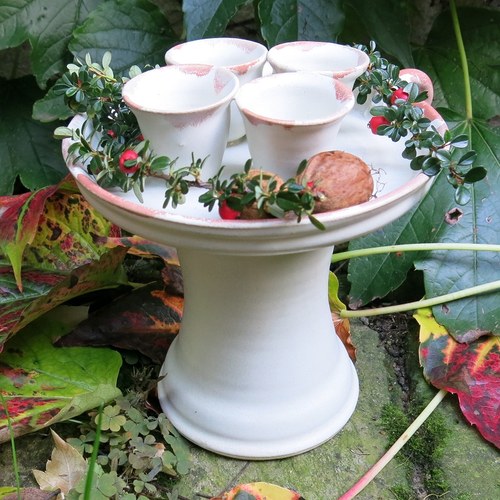 Adventní bílý — foto 1