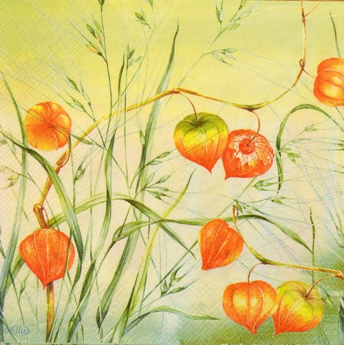 Podzimní — foto 1