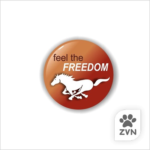 Feel the Freedom — foto 1