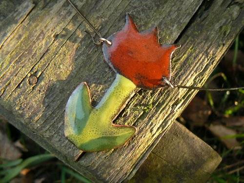 Rudý tulipán — foto 1