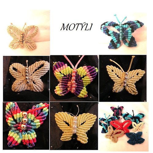 Motýli — foto 1