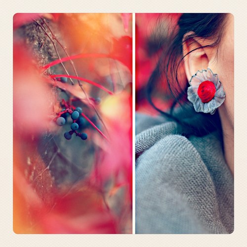 Délice - rouge (110t) — foto 1