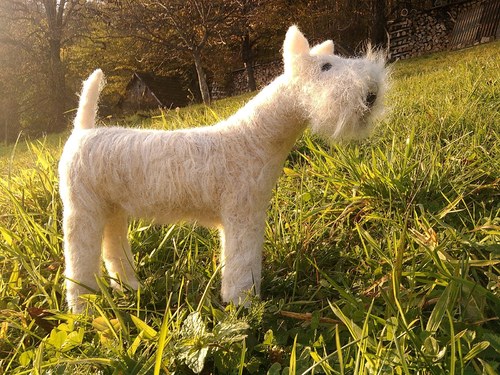 Cairn terrier Leon na objednávku — foto 1