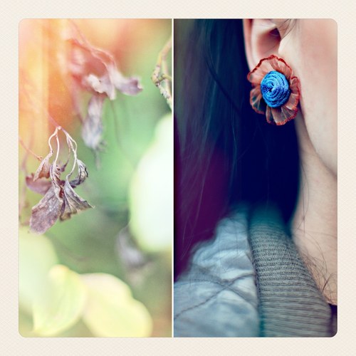 Délice - myosotis (111t) — foto 1