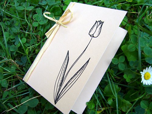 Přáníčko TULIPÁN — foto 1