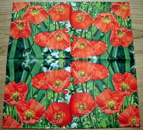 KV 444 HF-ubrousek 33x33 - vlčí mák