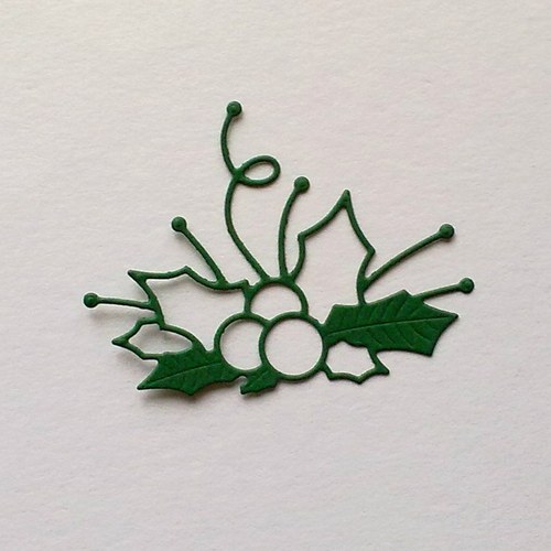 Výsek - Cesmína ostrolistá