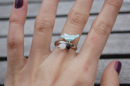 Put a Ring on It (4) — foto 1