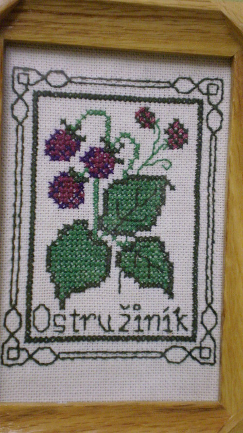 Ostružiník — foto 1