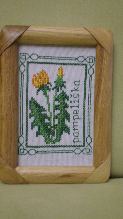 Pampeliška — foto 1