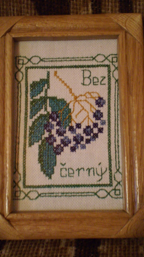 Bez černý — foto 1