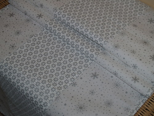 Běhoun - Silvery Winter — foto 1