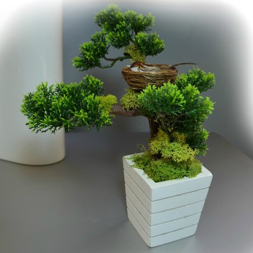 Bonsai s ptáčkem — foto 1
