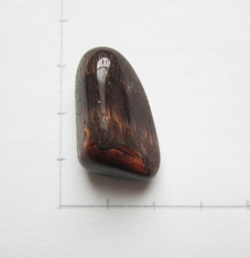 Býčí oko 28x16x11