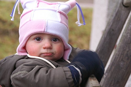 Růžovka kostičkovaná — foto 1