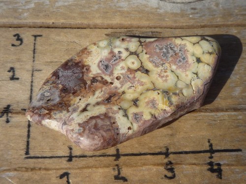 Jaspis leopardí B4018 — foto 1
