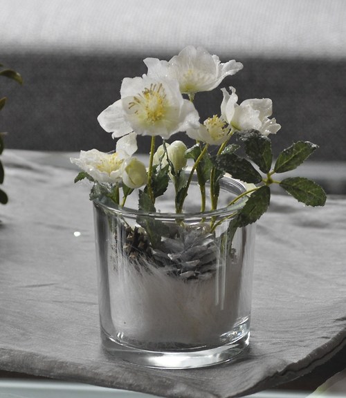 Vánoční dekorace ClearHelleborus — foto 1