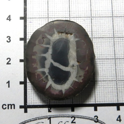 Septárie Madagaskar č.5 — foto 1