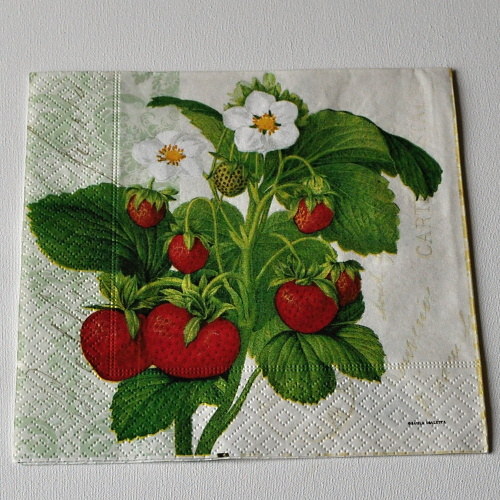 Ubrousek - Jahody a citrony — foto 1