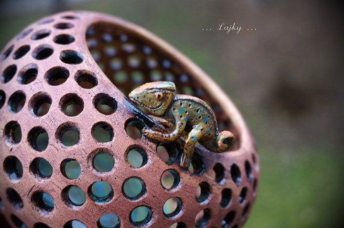 Chameleon... — foto 1