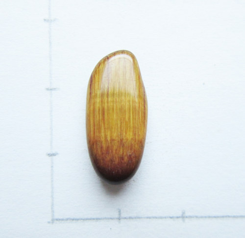 Tygří oko 19x9x3 — foto 1