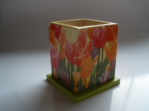 Tulipánový tužkovník — foto 1