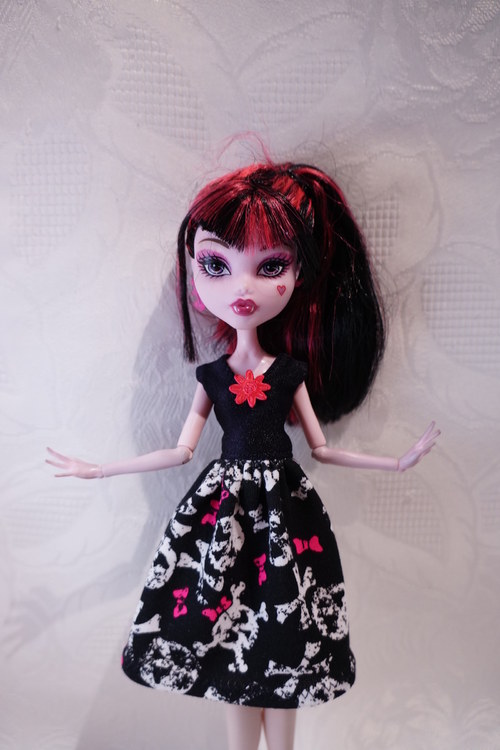 Na halloween párty pro Monster High — foto 1