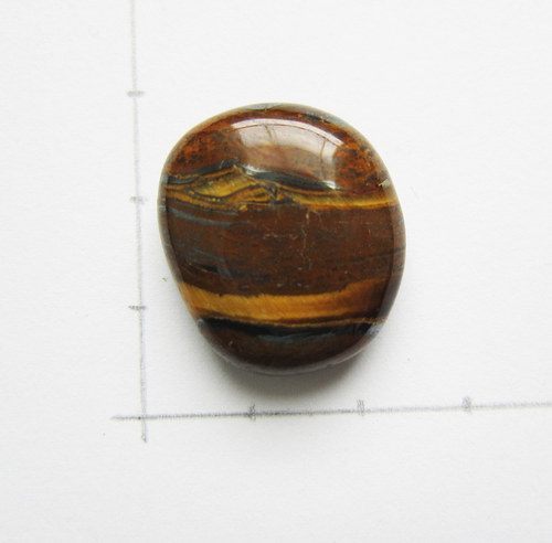 Tygří kůže 24x21x8