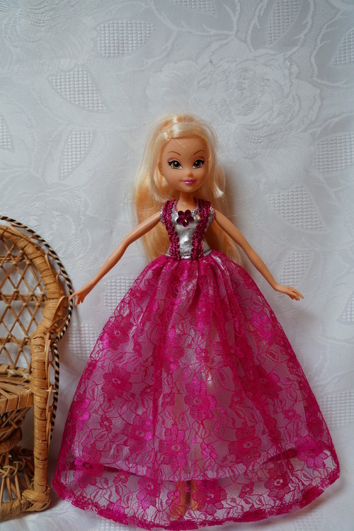 Winx je princeznou — foto 1