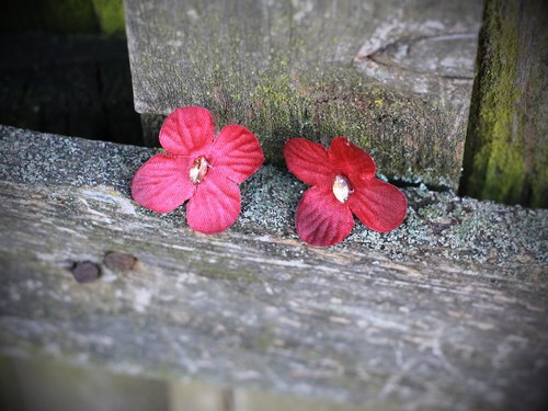 "náušničky " (bordo) ... na přání — foto 1