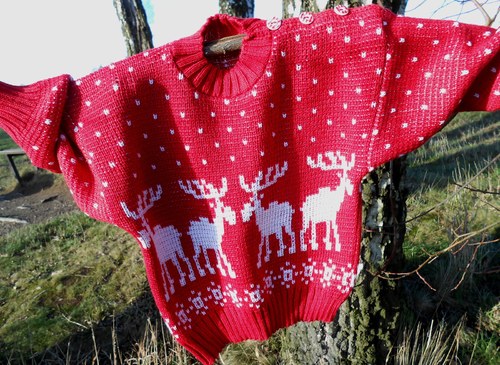 Dětský svetřík se soby na objednávku — foto 1