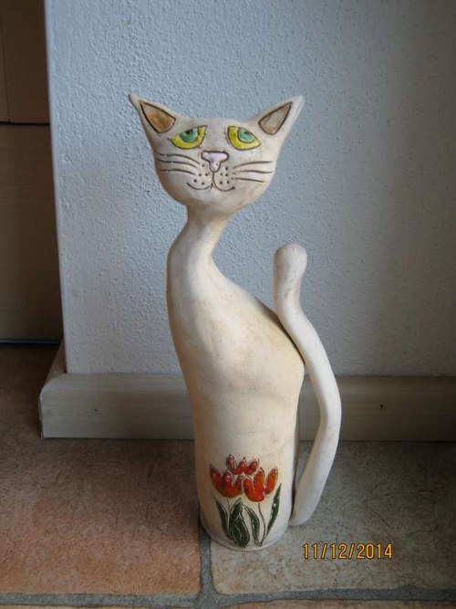 Kočka štíhlá — foto 1