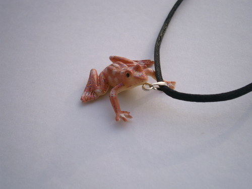 Fauna I