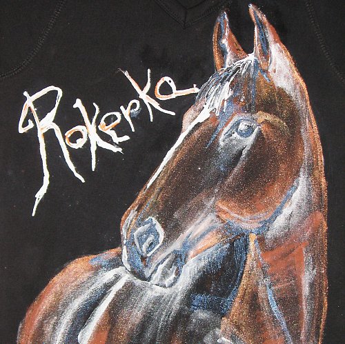 Koníček na přání — foto 1