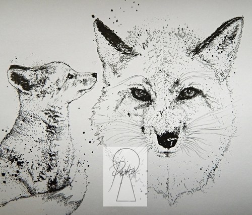 Foxes. — foto 1