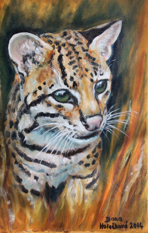 Ocelot velký - autorský arch